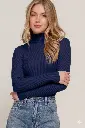 Gemini_Generated_Image_piupbjpiupbjpiup.webp