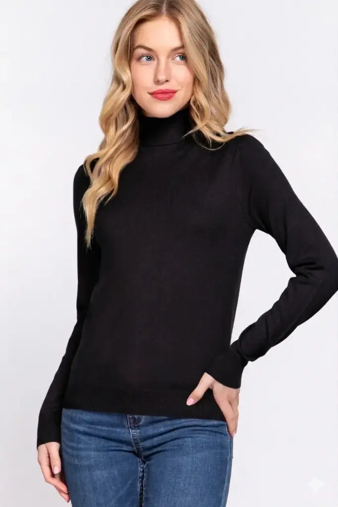 L/S Turtle Neck Sweater
SW13687/2512